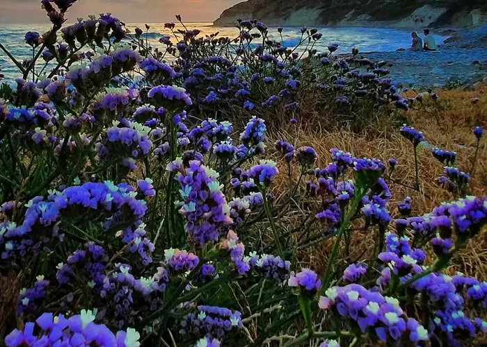 Aparthotel Governors Panayiotis