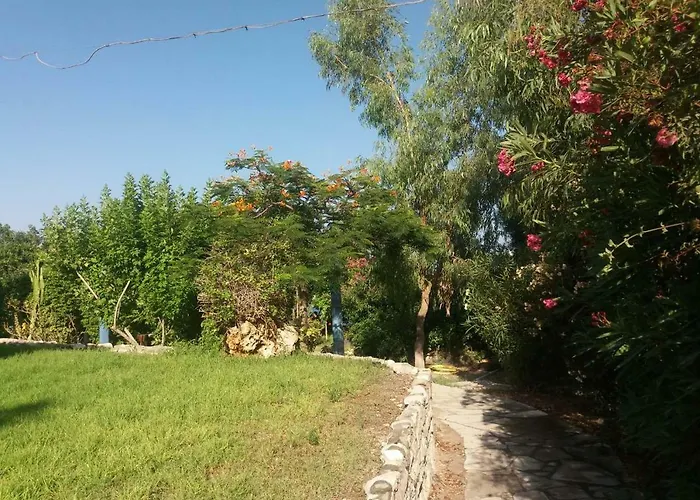 Governors Panayiotis Aparthotel Governors Beach