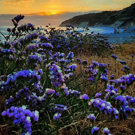 شقة فندقية Governors Panayiotis